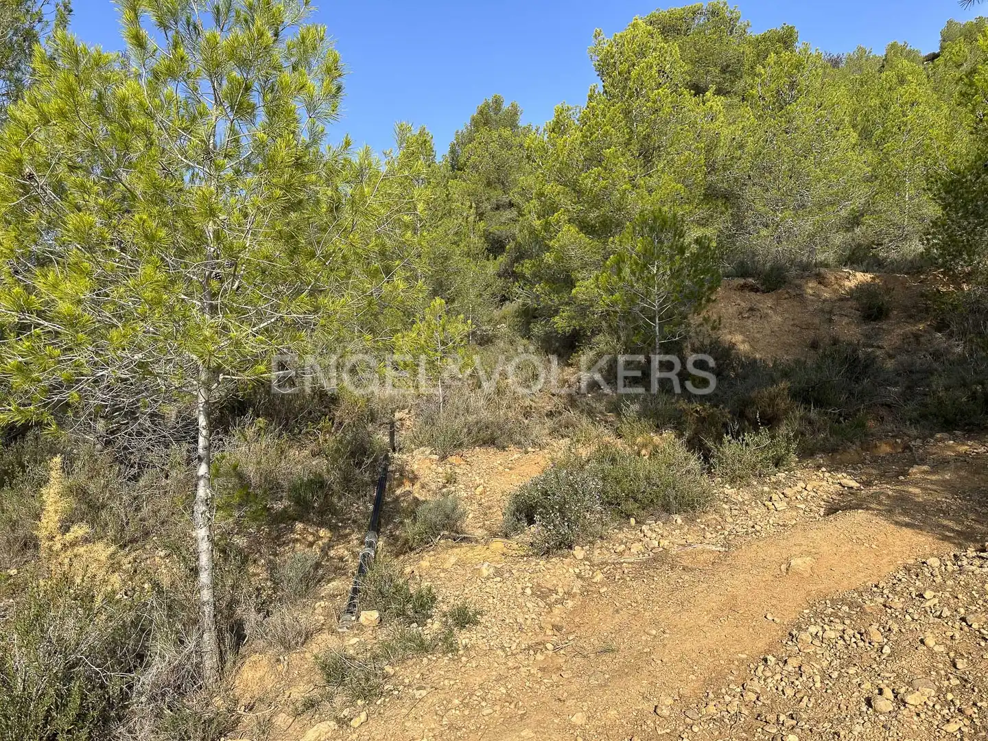 Residential land for sale in Torrelles de Foix, imagen 42
