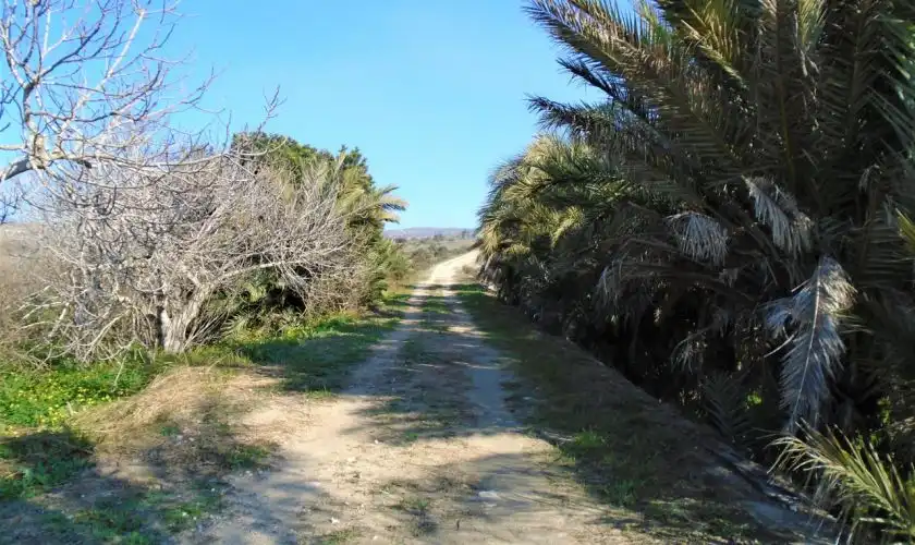 Vista exterior de Casa o xalet en venda en Níjar amb Jardí privat, Terrassa i Moblat