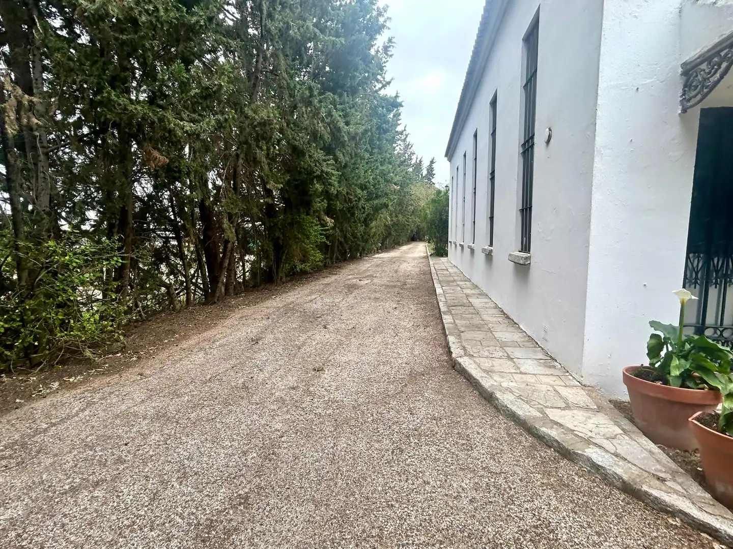 Country homes for sale in Caballero Bonald - San José Obrero - Guadalcacín