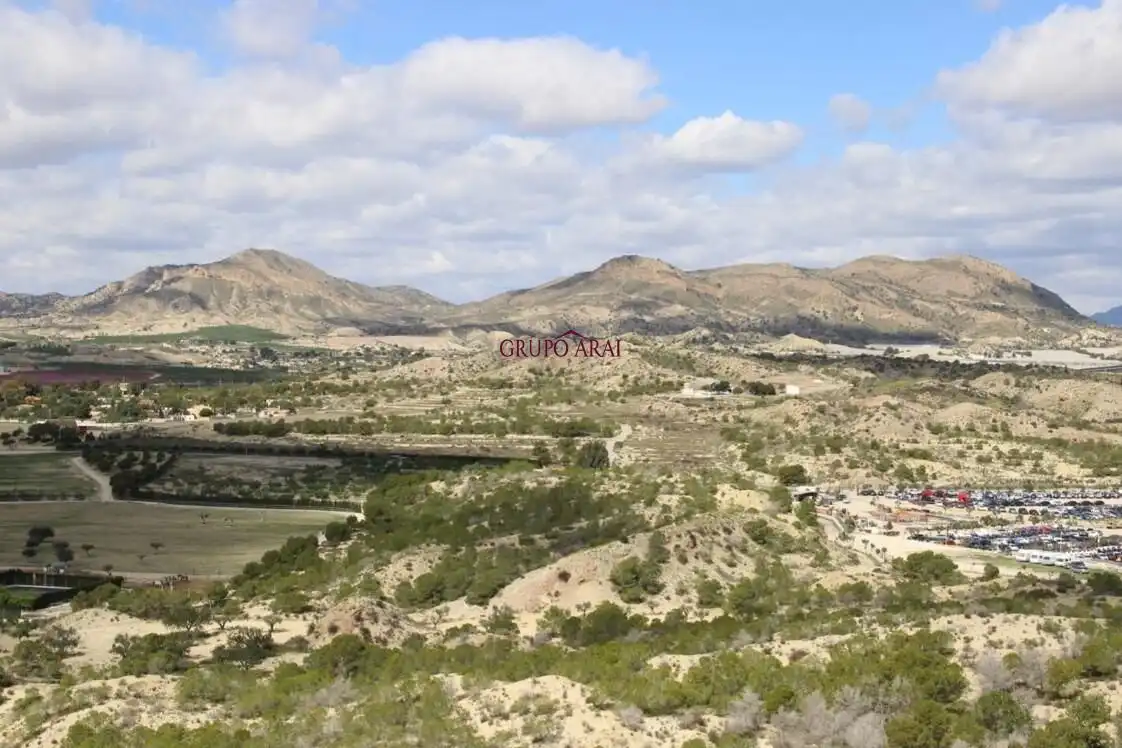 Terreny rústic en venda a de la Ballestera, imagen 11