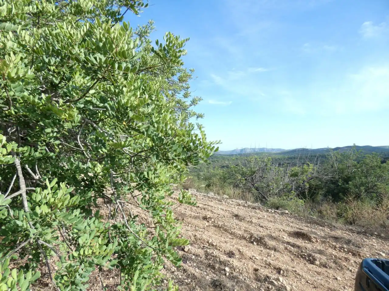 Rural land for sale in Calle POLIGONO 36   419, imagen 5