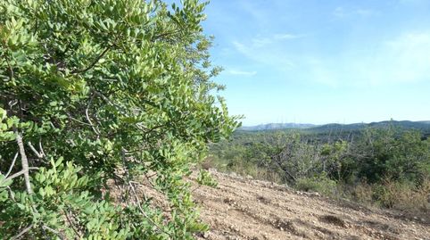 Terreno en venta en Cervera del Maestre!, imatge 5