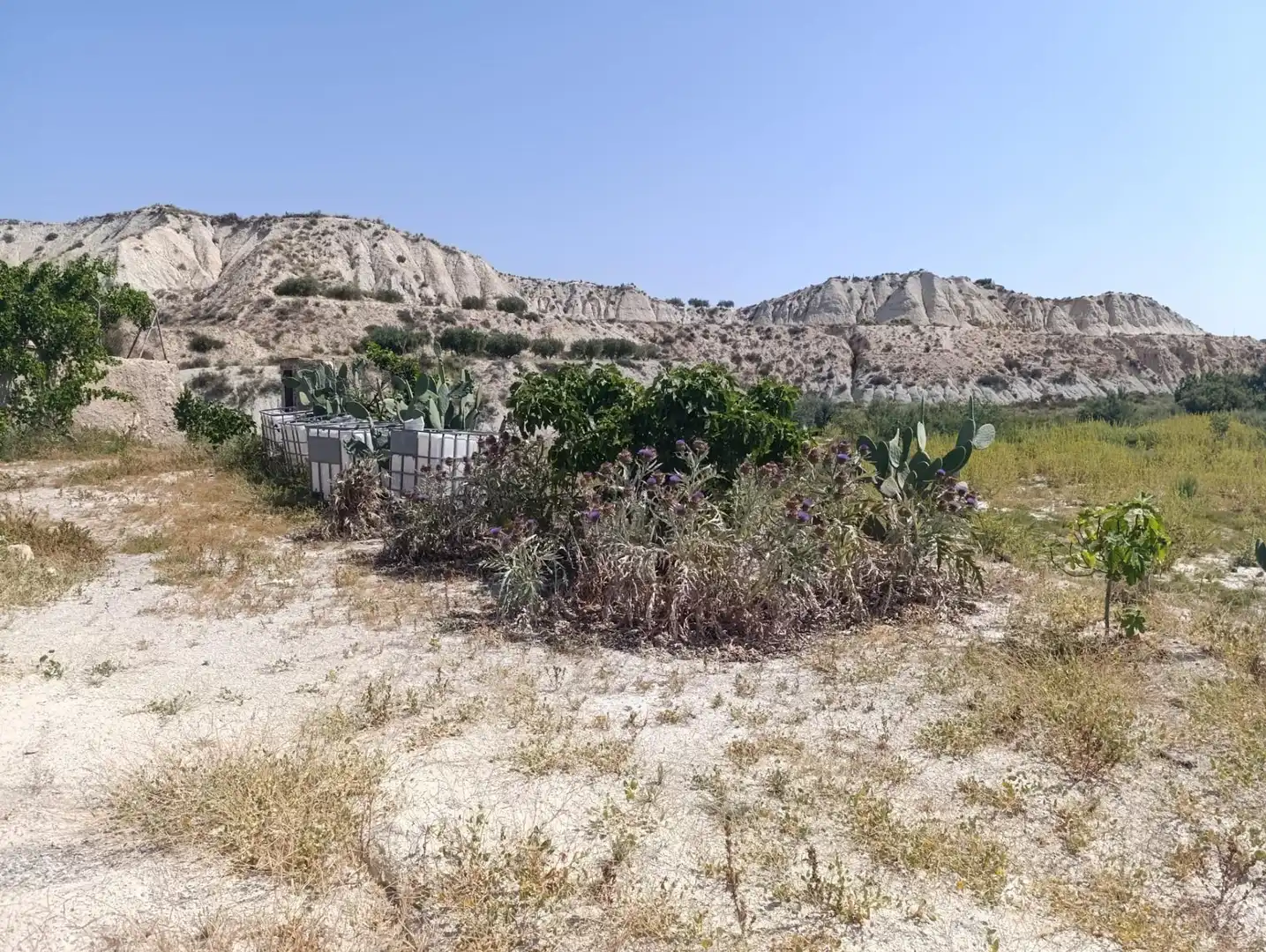 Rustikales Grundstück zum Verkauf in de Morón, imagen 3