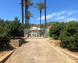 Vista exterior de Casa o xalet en venda en Alzira amb Terrassa i Piscina