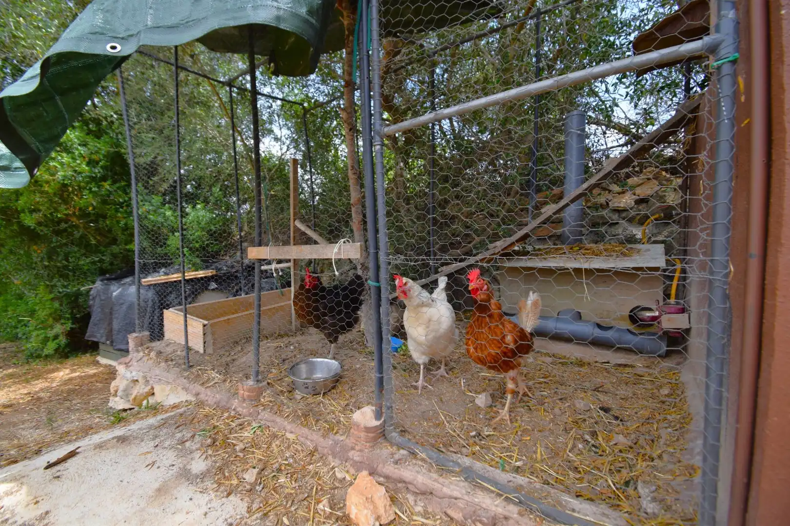 Finca rústica en venda a Petra