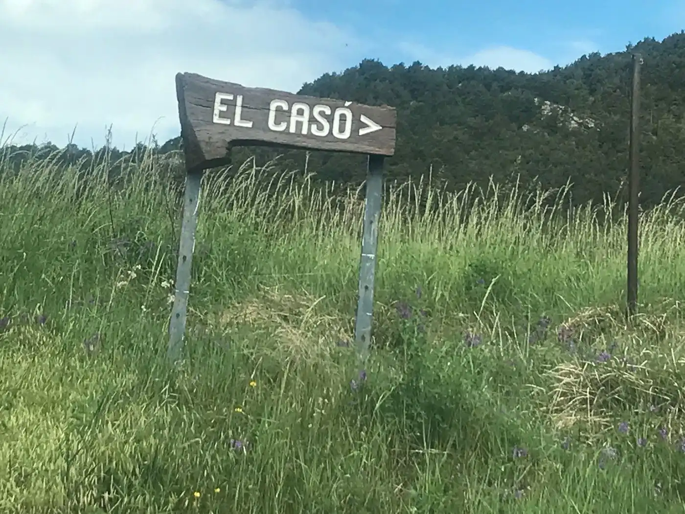 Wohnbaugrundstück zum Verkauf in Berga, imagen 12