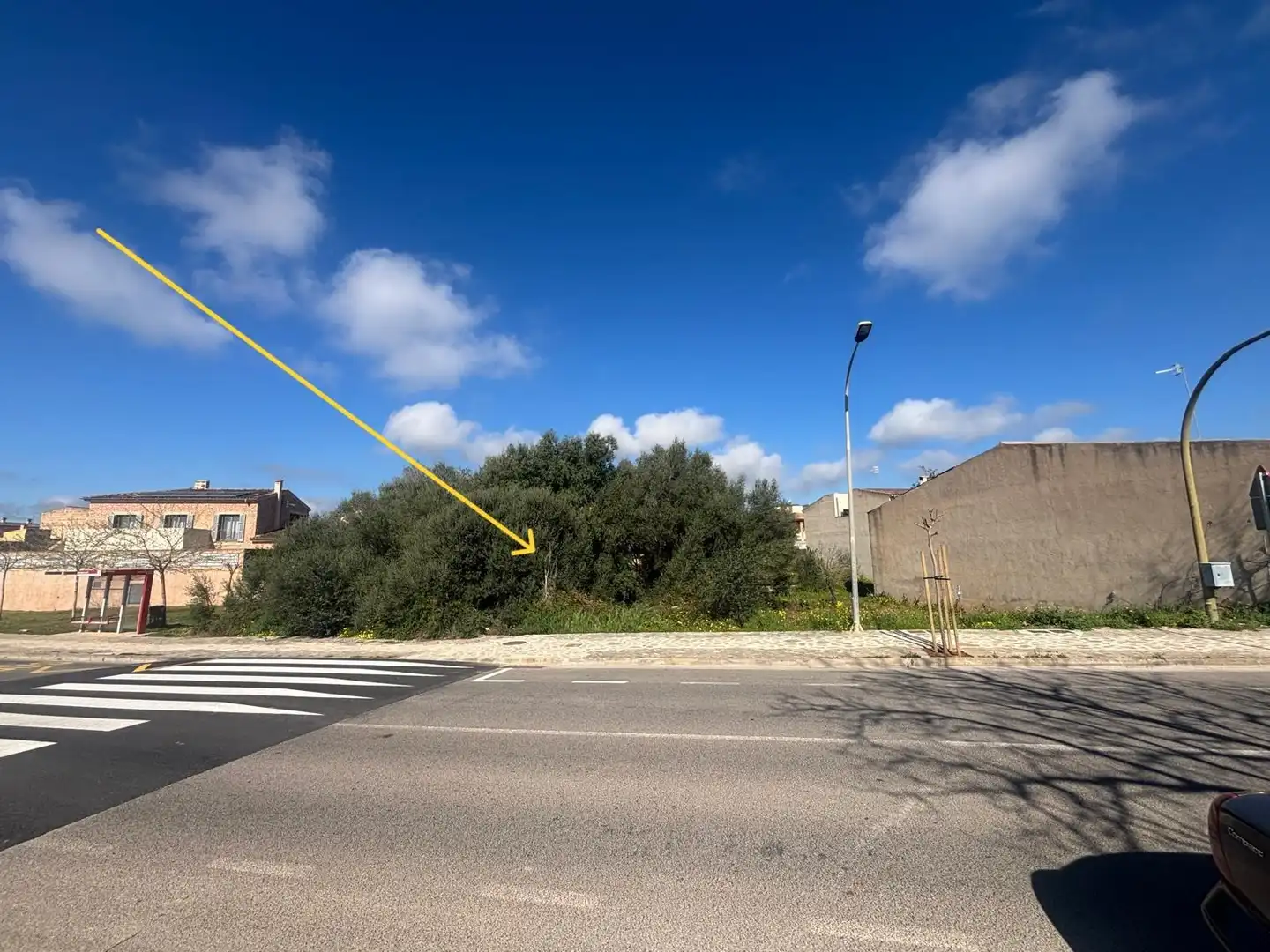Terrenys i solars en venda a Carrer del Mossèn Galmes 123, imagen 3