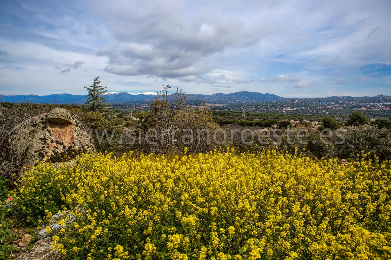 Casa o chalet en venta en Puerto de Galapagar - Las Cuestas