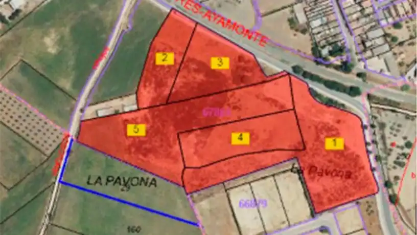 Residencial en venta en Carrión de los Céspedes