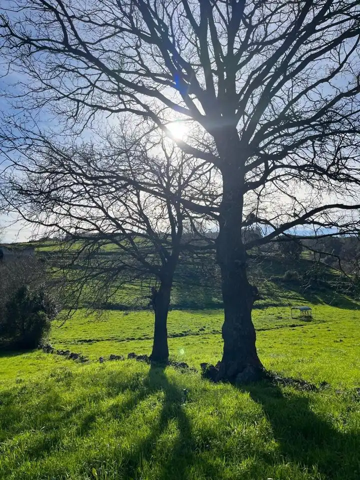 Lands and plots for sale in poligono, imagen 2