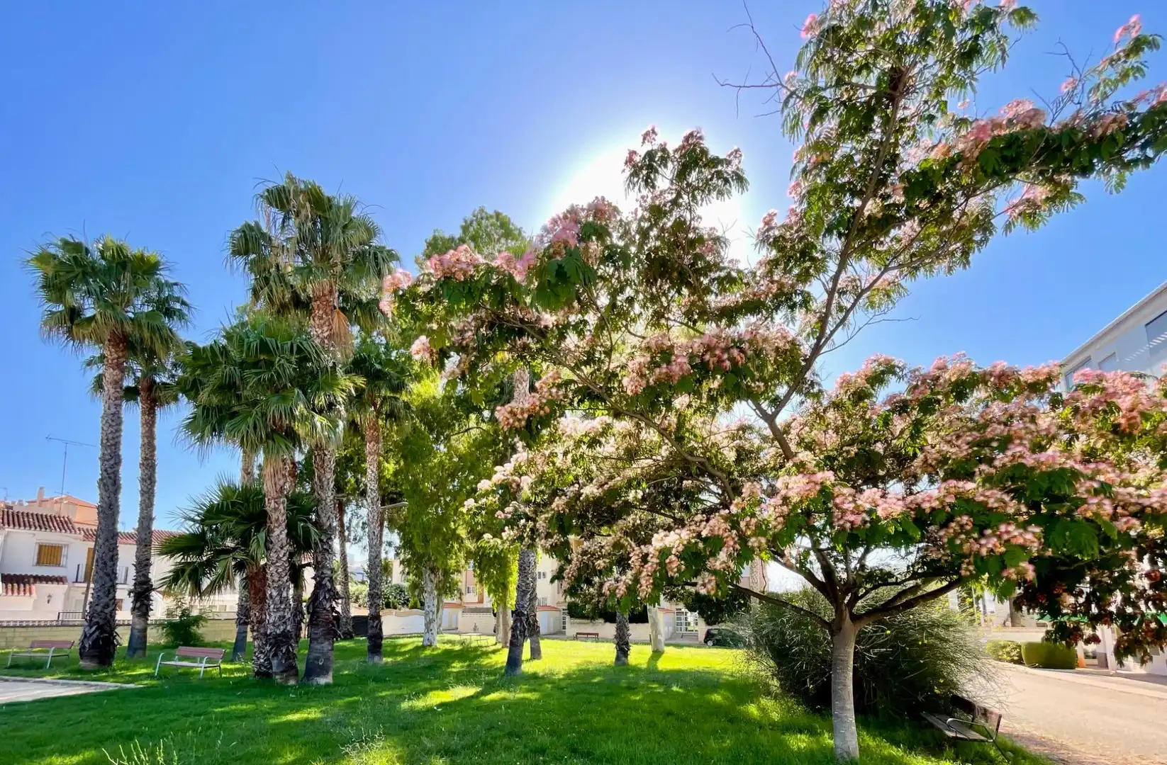 Garten von Wohnungen zum Verkauf in Dénia mit Klimaanlage, Heizung und Privatgarten