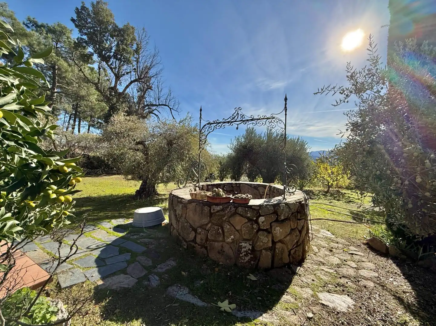 Jardín de Finca rústica en venta en Piedralaves con Jardín privado, Terraza y Trastero