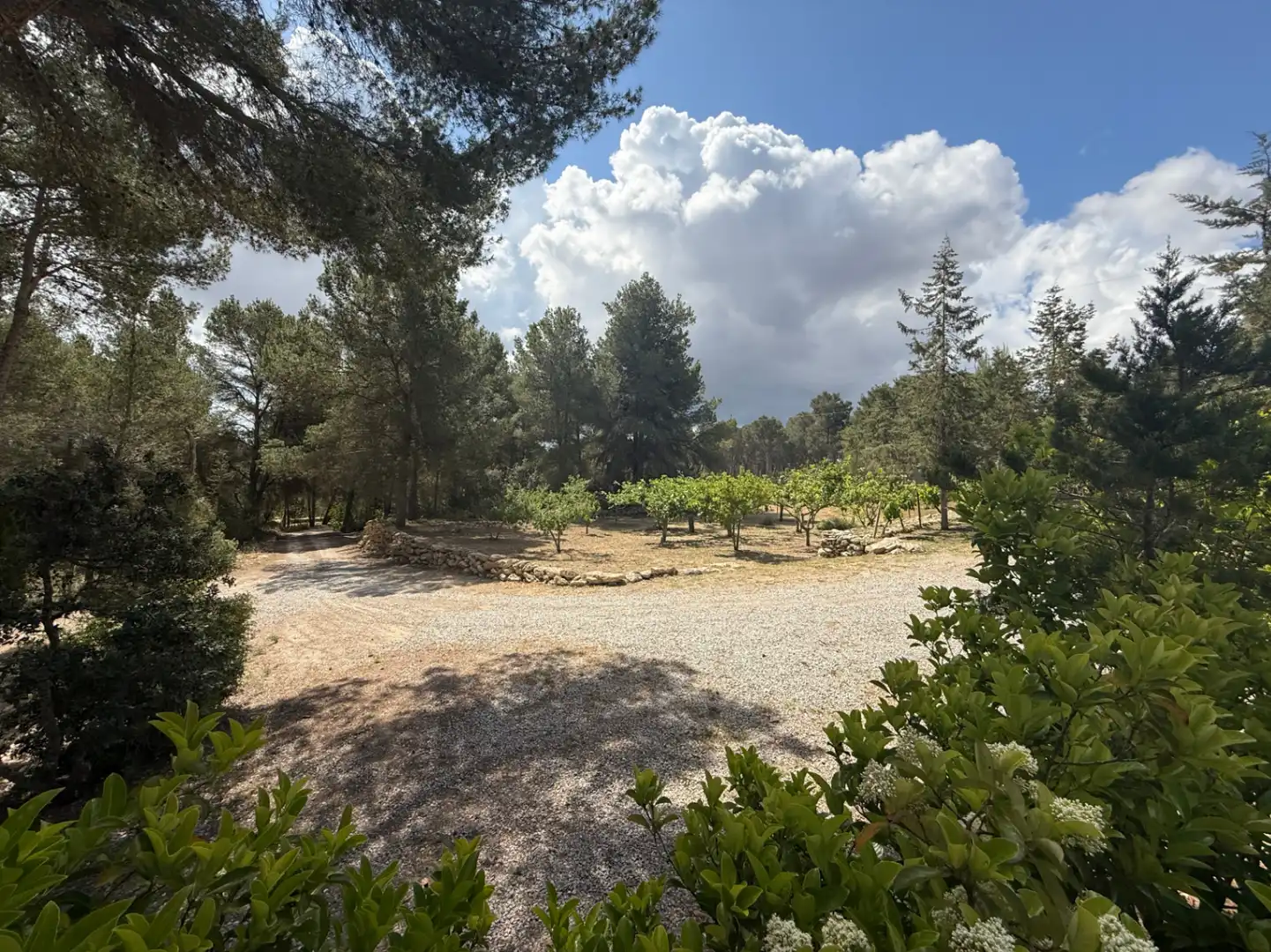 Xalet amb piscina en venda a Santa Gertrudis, imagen 18