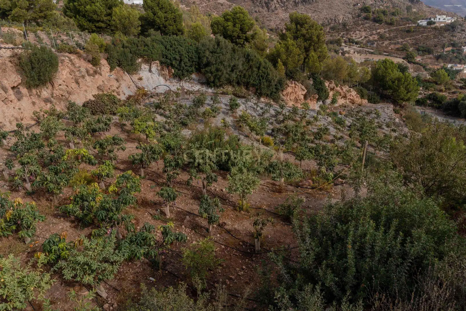 Terreni e lotti in vendita a PHPX+WF Gualchos, Spain, imagen 41