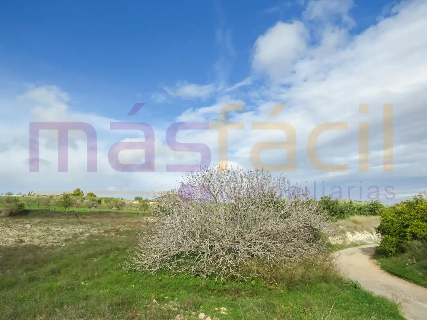 Finca rústica en venta en LOS MORENOS, Los Barreros - Cuatro Santos