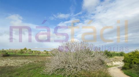 Foto 2 de Finca rústica en venta en Los Morenos, Los Barreros - Cuatro Santos, Murcia