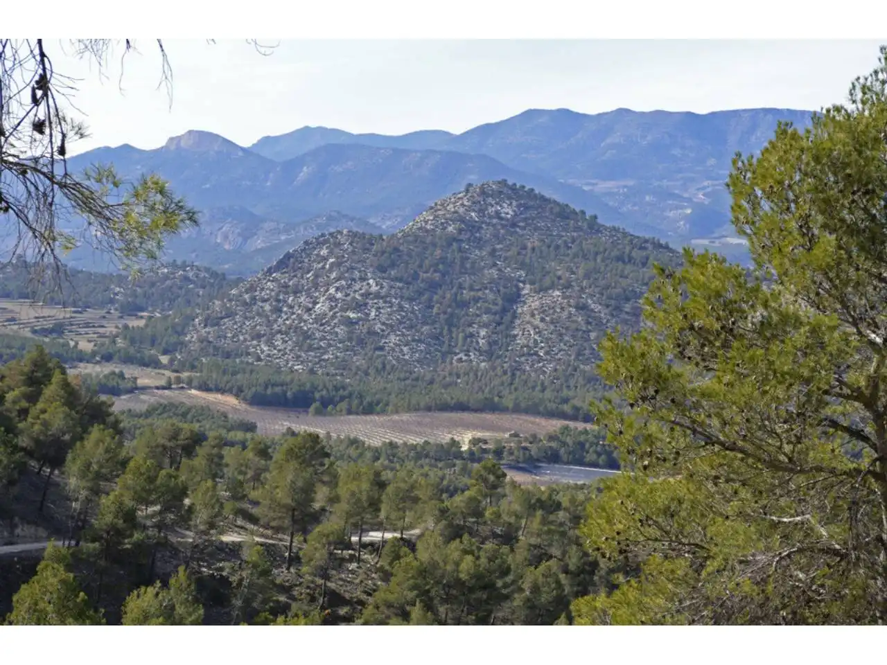 Lands and plots for sale in Pasaje Rincones y Sierra Espuña, imagen 20