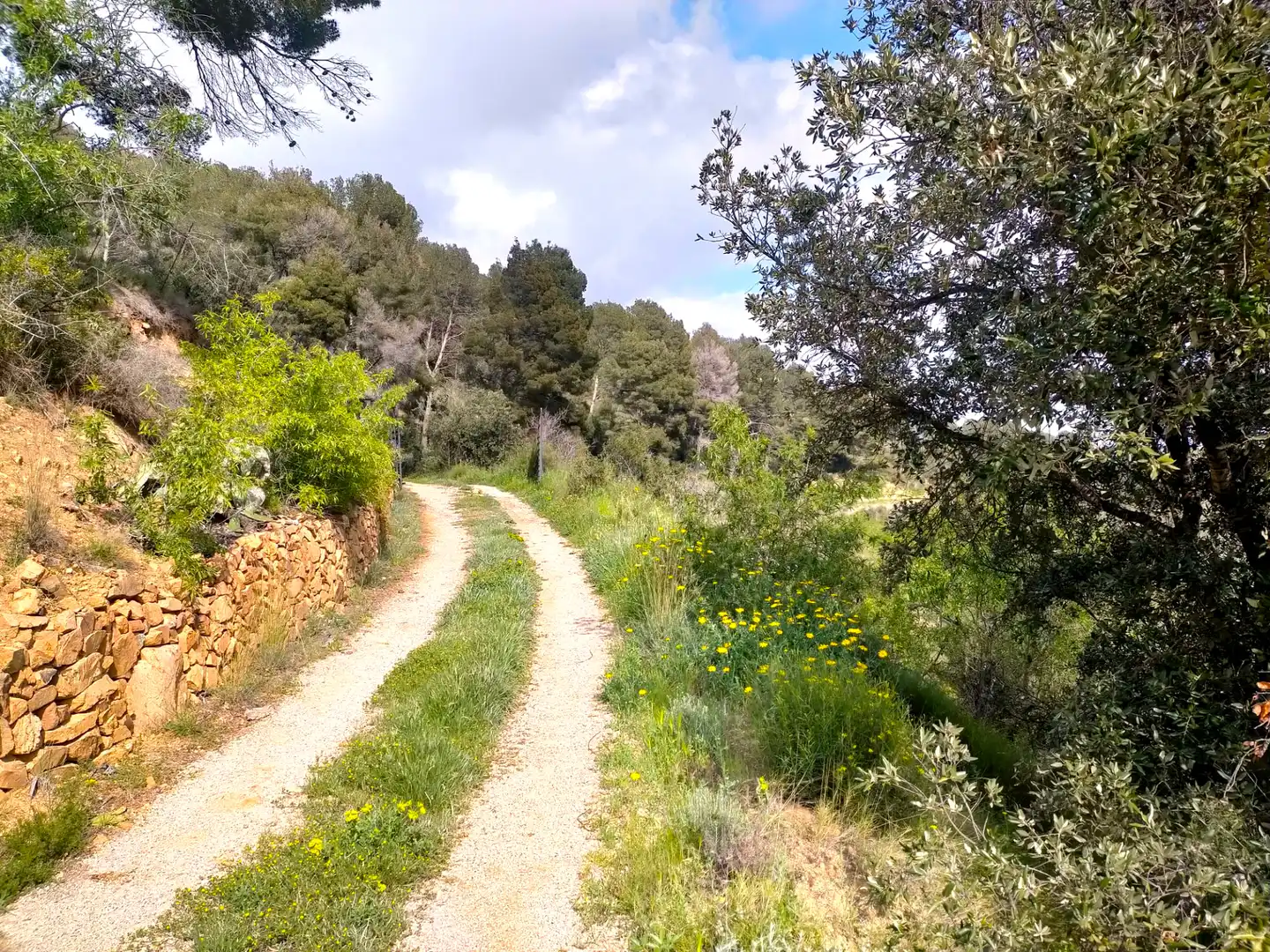 Country homes for rent in Alforja