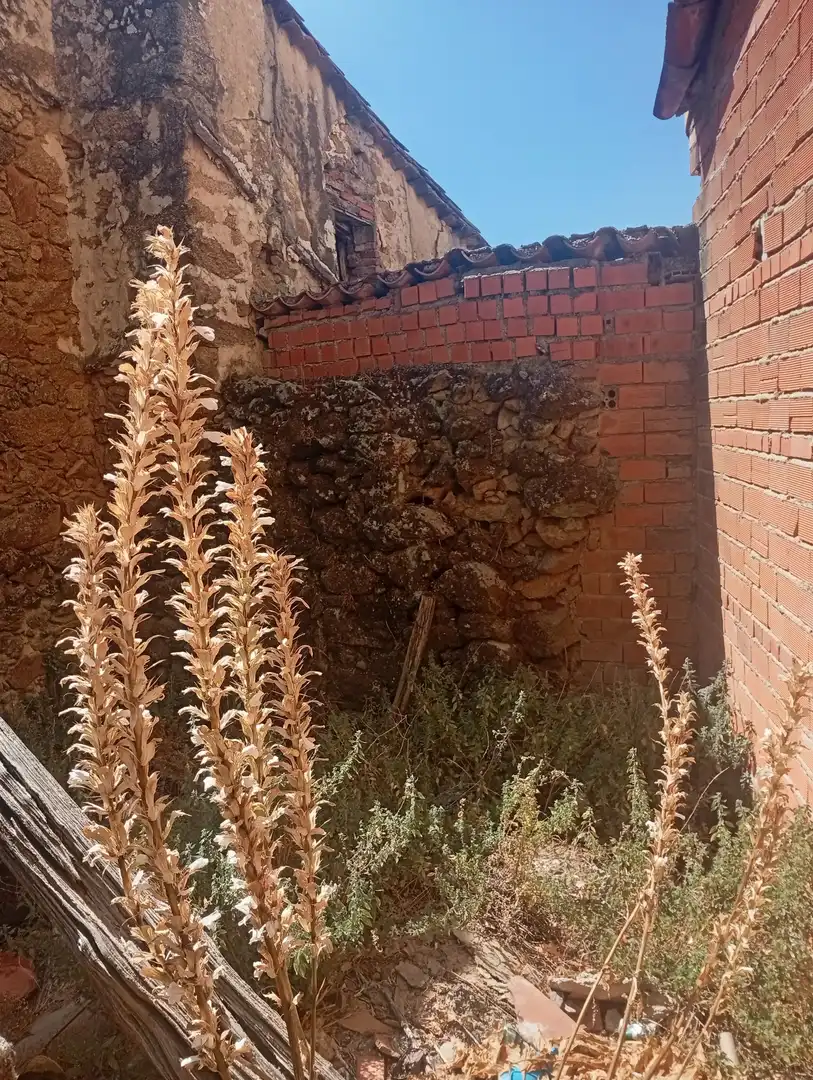 Vista exterior de Residencial en venta en Talaveruela de la Vera