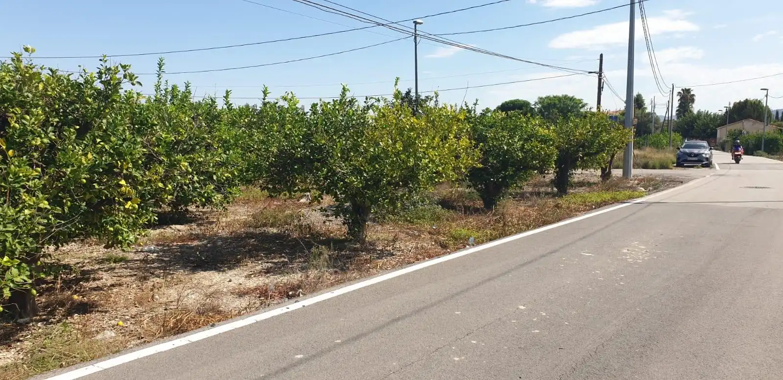 Terrenys i solars en venda a Pedanías Oeste, imagen 4