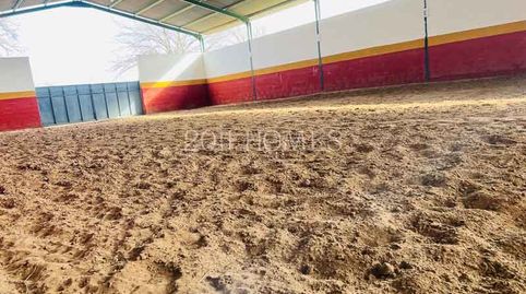 Photo 5 of Industrial buildings for sale in La Roda de Andalucía, Sevilla