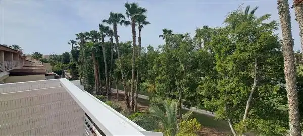 Casa con piscina en venta en Fotógrafo Francisco Cano, imagen 19