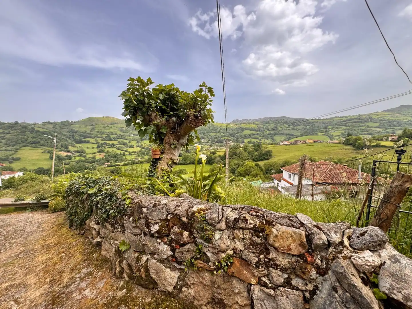 Maison rustique avec terrasse à vendre à Grado, imagen 21
