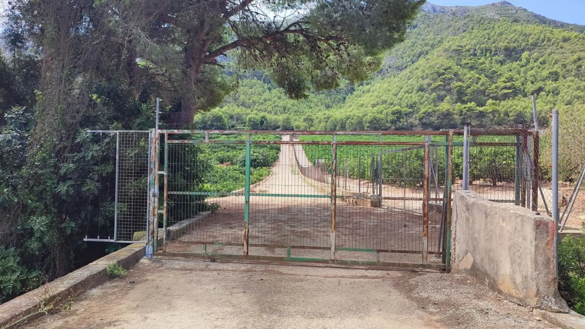 Land for sale in Tavernes de la Valldigna