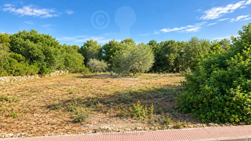 Rural land for sale in Cala d'Or