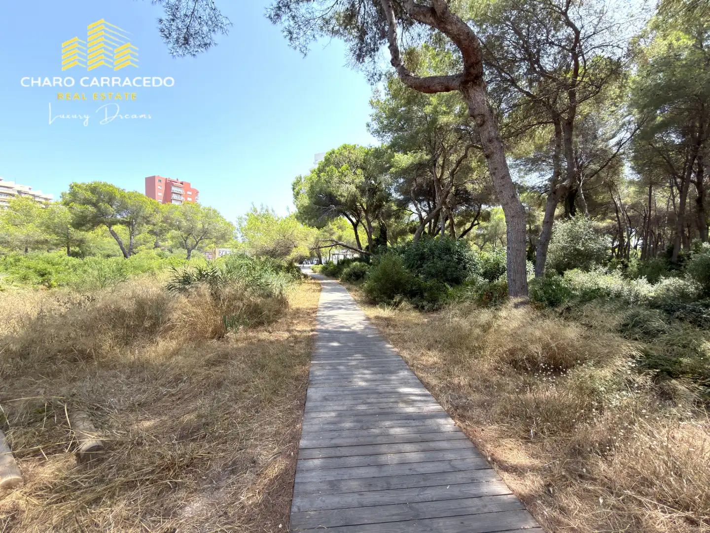 Vista exterior de Pis de lloguer en Valencia amb Aire condicionat, Jardí privat i Terrassa