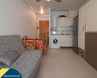 Cuina de Estudi en venda en Torrevieja amb Aire condicionat, Calefacció i Terrassa