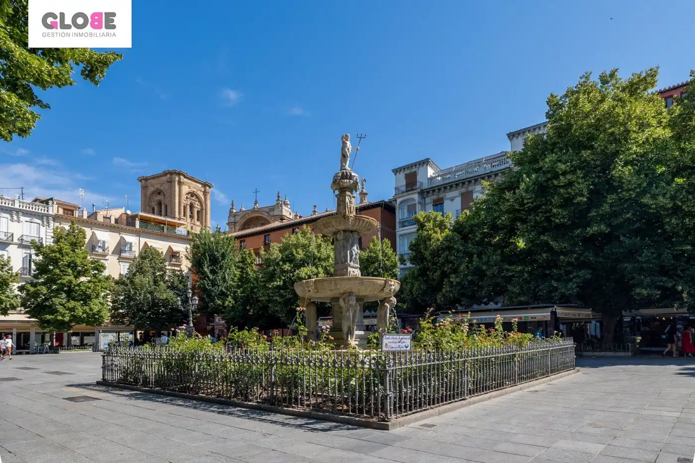 Inmuebles singulares en venta en Centro, imagen 5