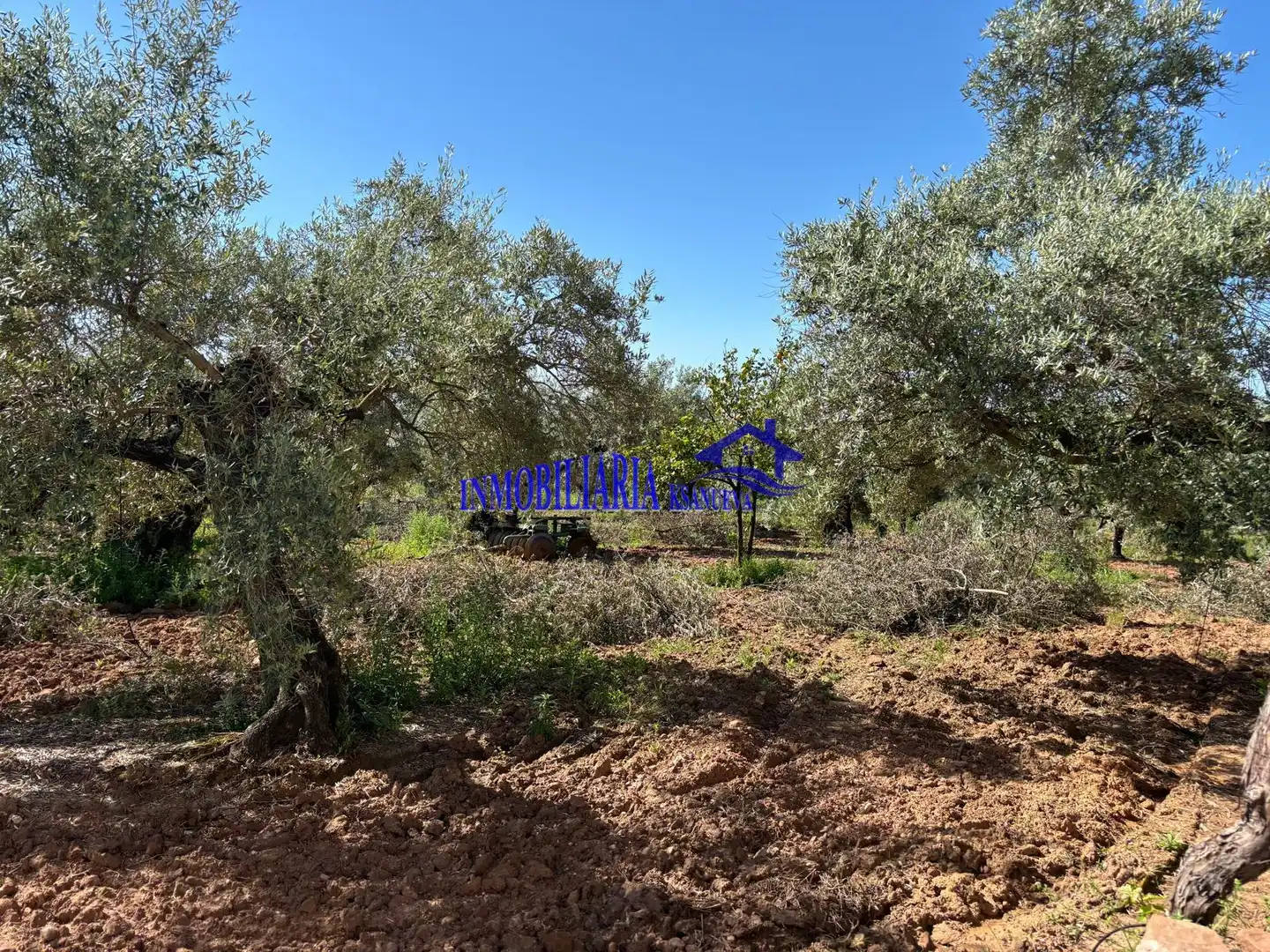 Casa rústica en venta en Montoro, imagen 17