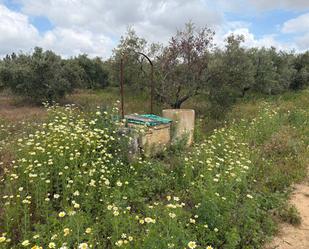 Country house for sale in Bollullos Par del Condado