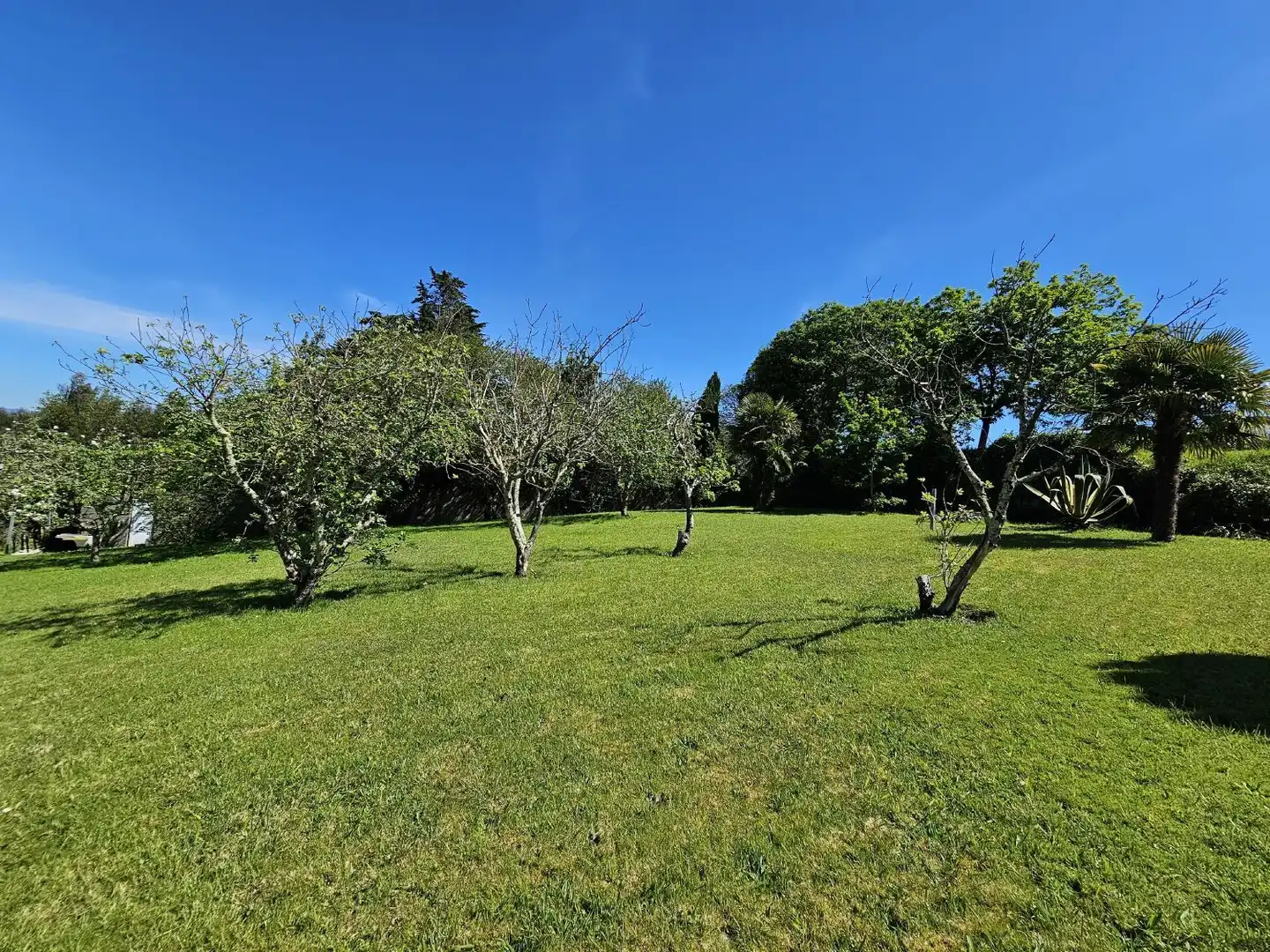 Houses for sale in Sada (A Coruña)  with Private garden