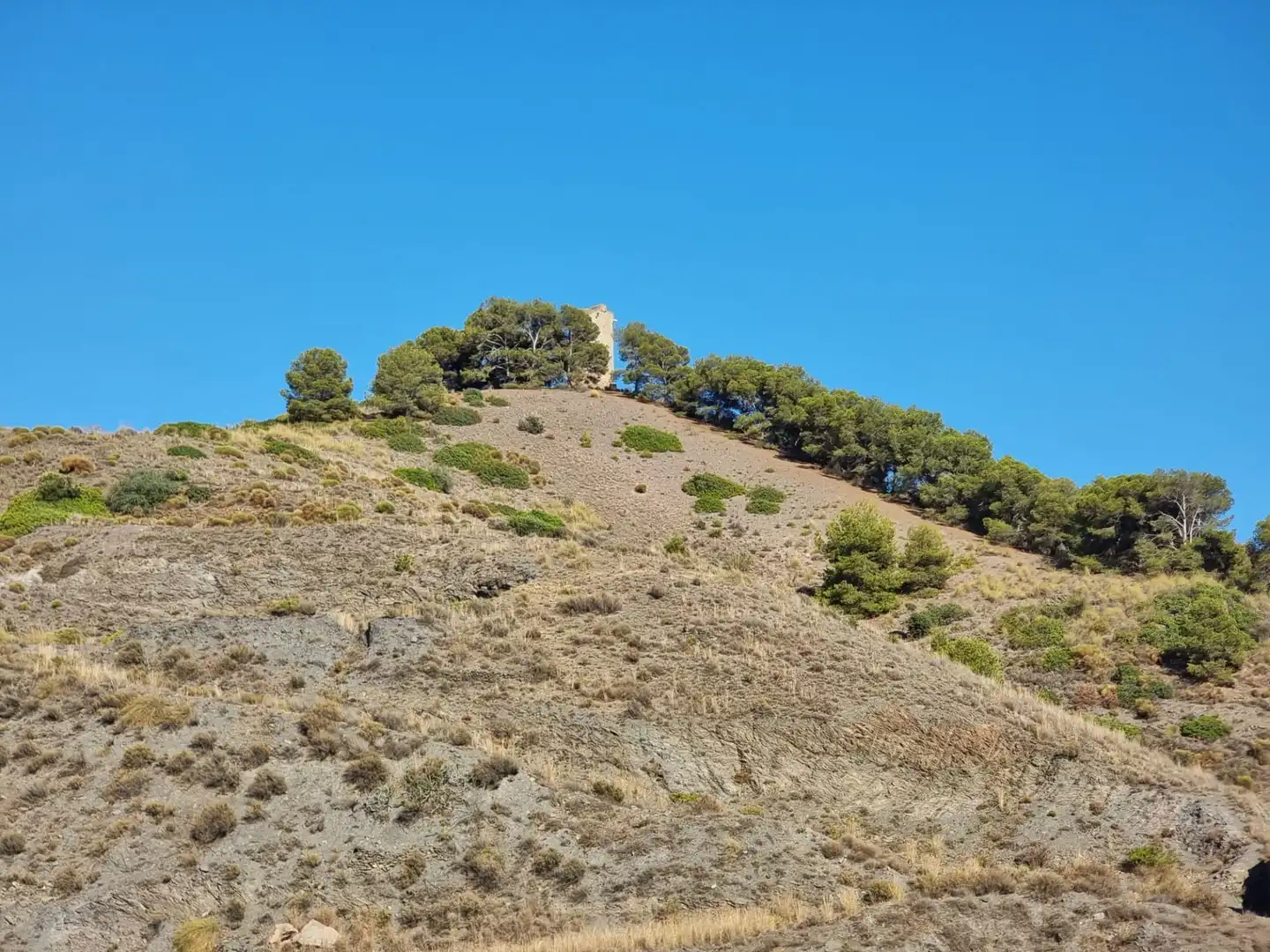 Finca rústica en venta en Sorvilán