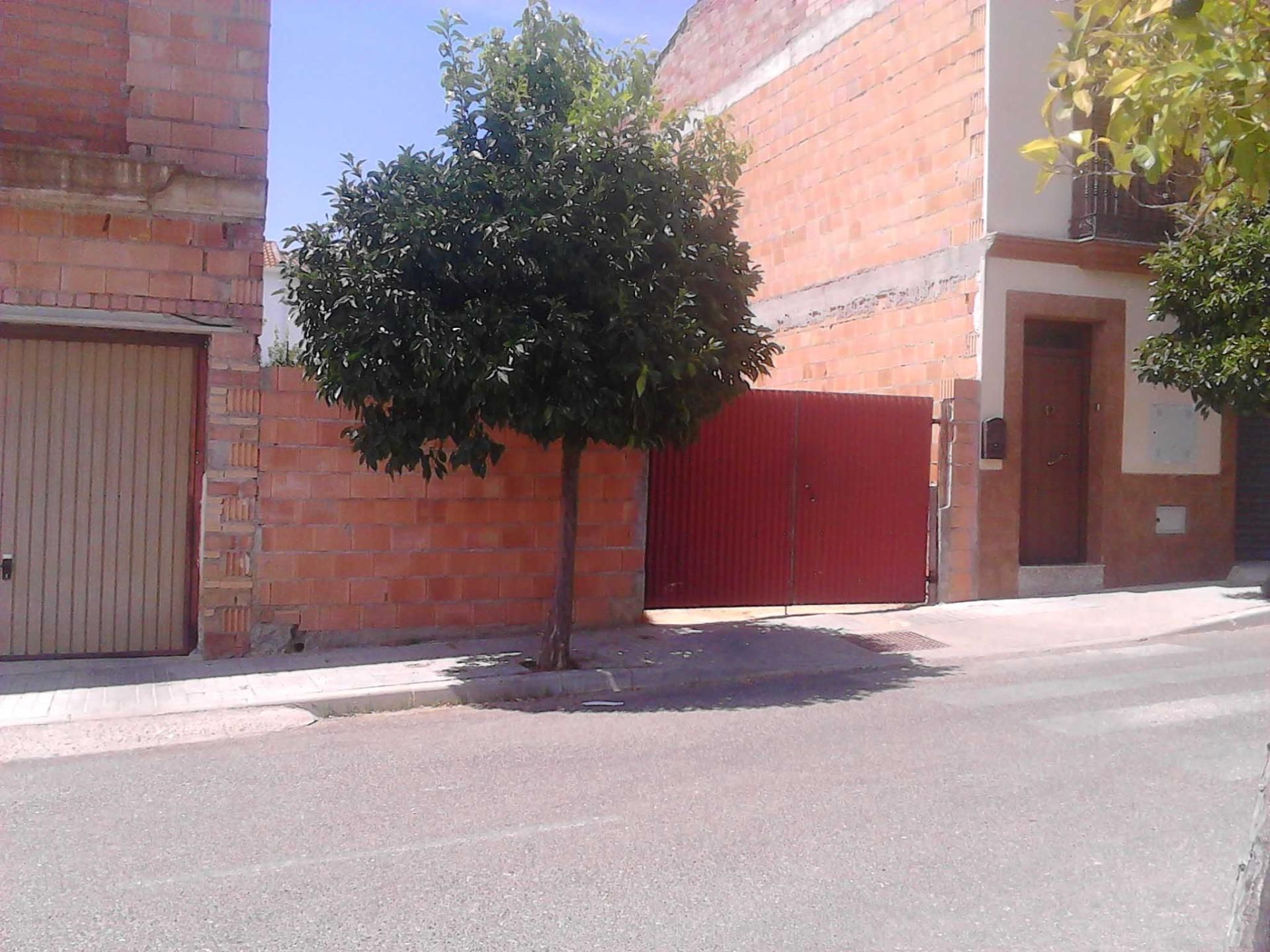 Vista exterior de Residencial en venda en Adamuz