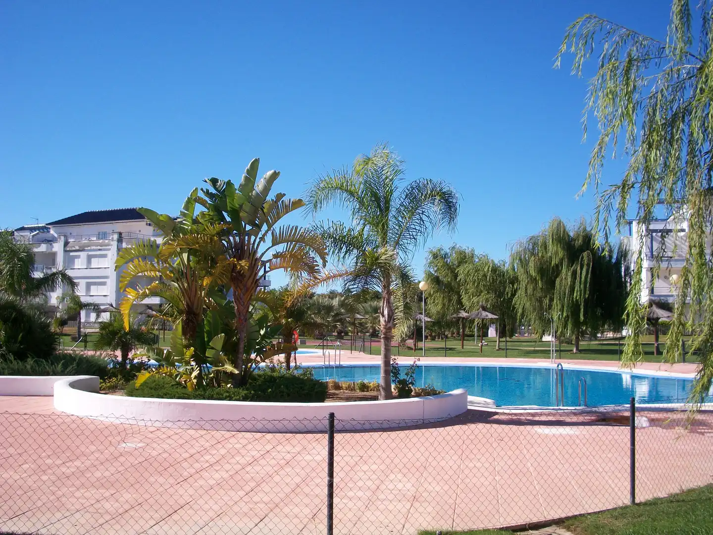 Apartment with pool to rent in Avenida Reina Sofía 37, imagen 4