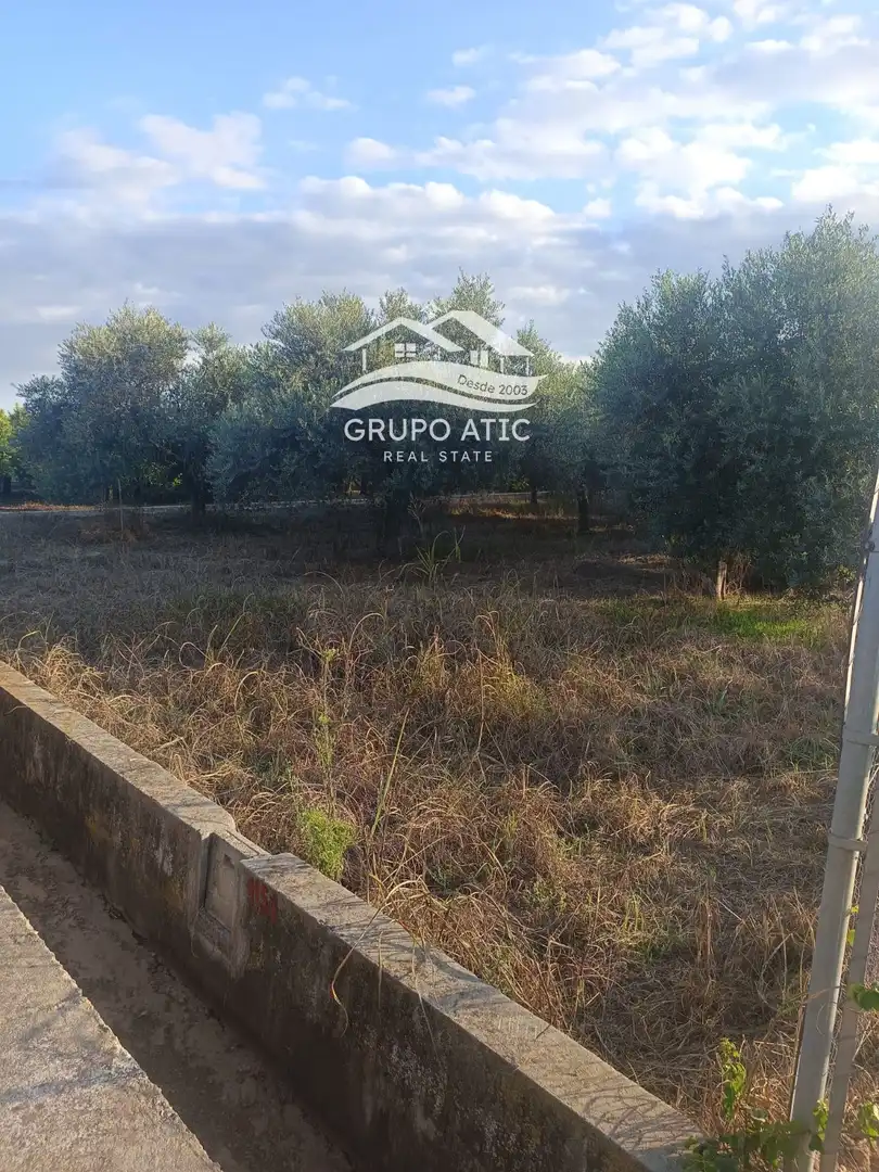 Terreno rústico en venta en Piscinas, imagen 3
