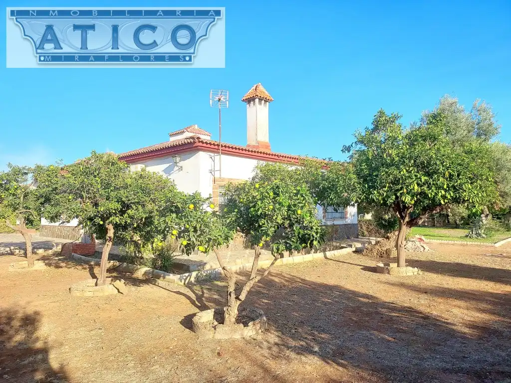 Exterior view of Houses for sale in La Rinconada