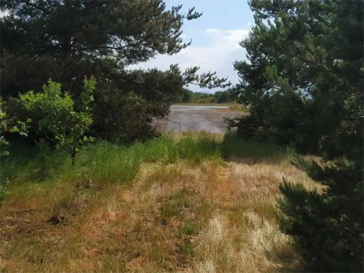 Land for sale in Sandiás