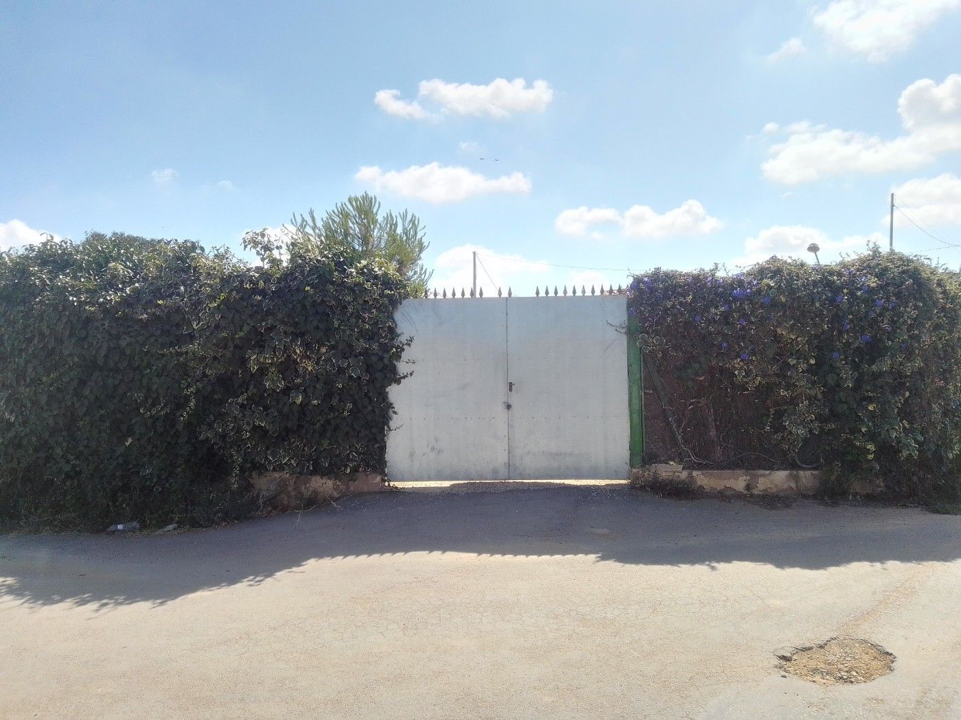 Casa o xalet en venda en Torre-Pacheco amb Traster i Piscina