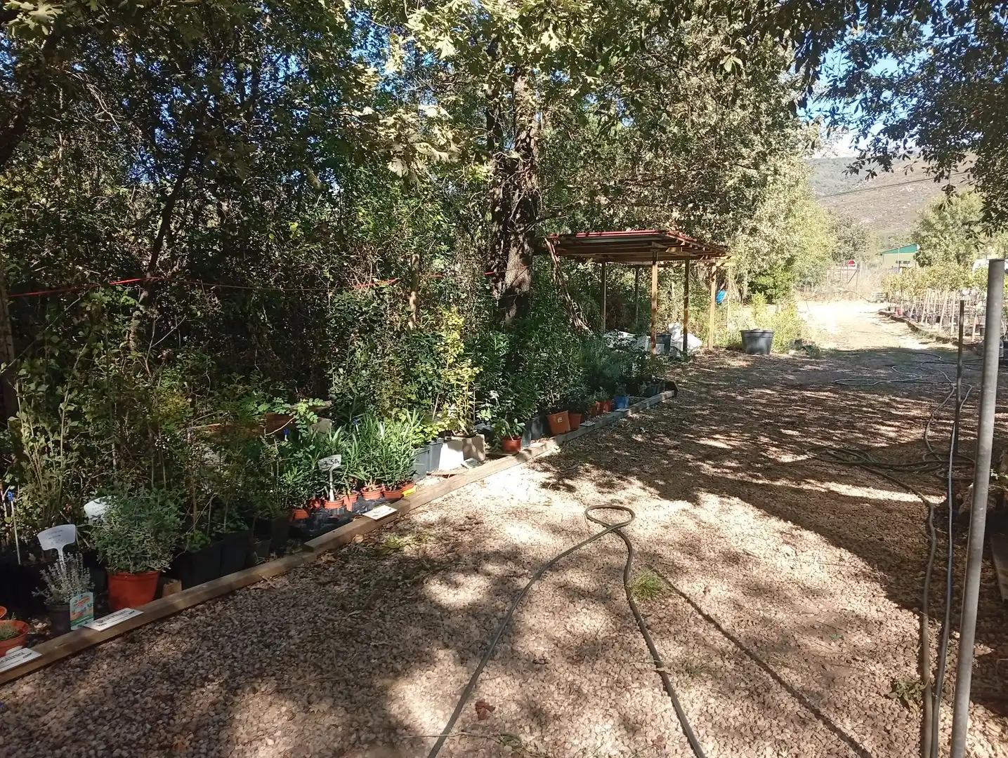 Terrain rustique à vendre à Villanueva de la Vera, imagen 14
