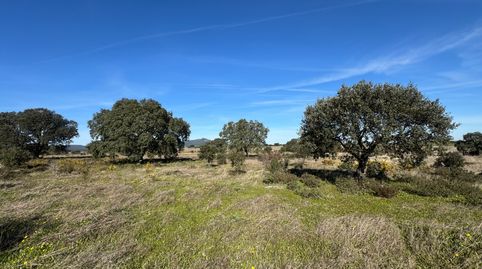 Photo 3 of Land for sale in N/a, -1, Valdesalor - Rincón de Ballesteros, Cáceres Capital