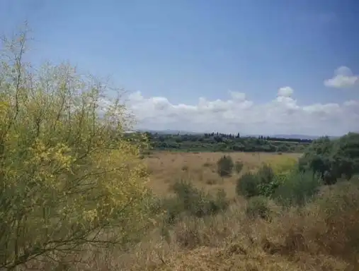 Rural land for sale in Pt Sc Sur-01, imagen 6