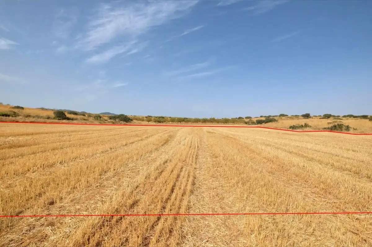 Terreni e lotti in vendita a Padul