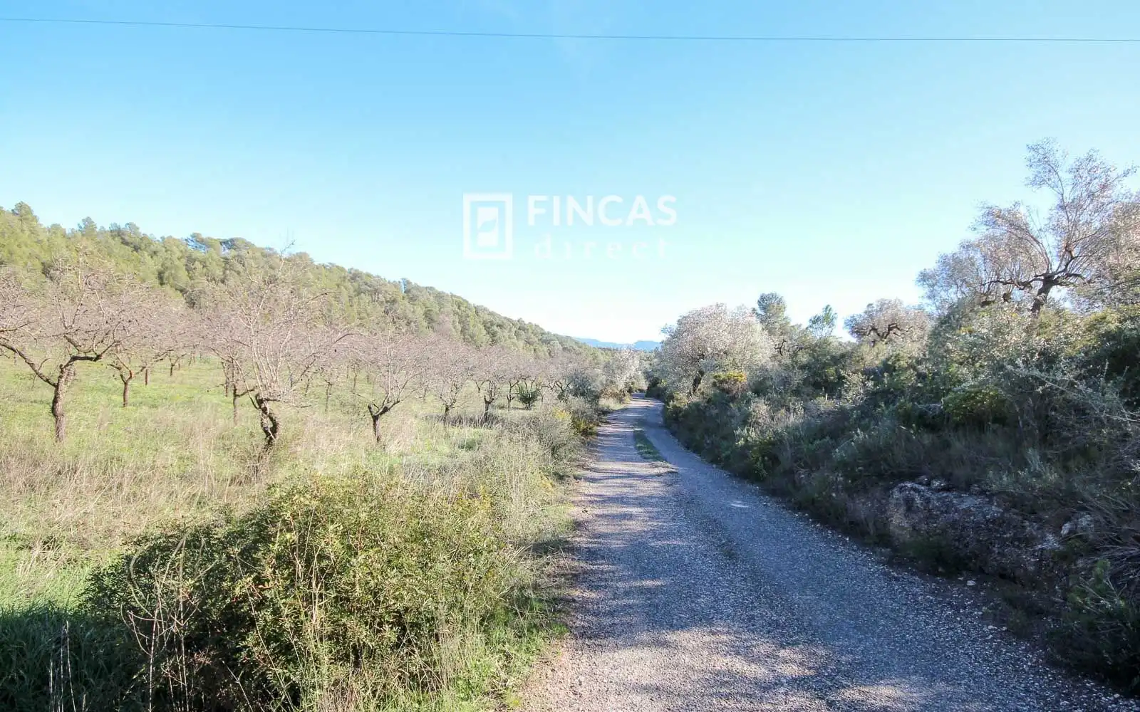 Finca rústica en venta en Miravet