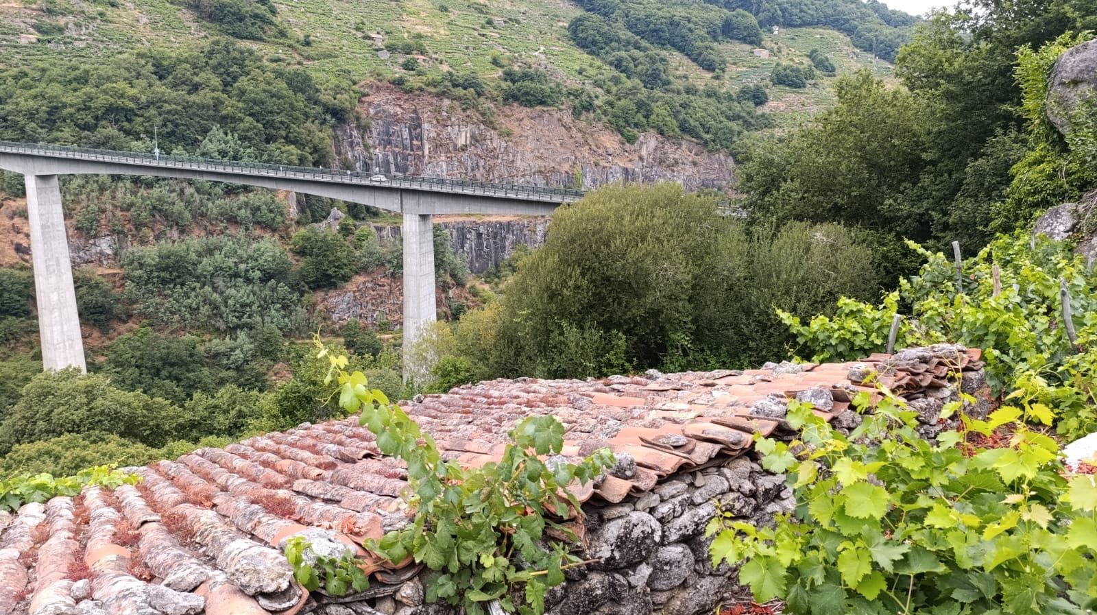 Vista exterior de Casa o xalet en venda en O Saviñao  amb Jardí privat