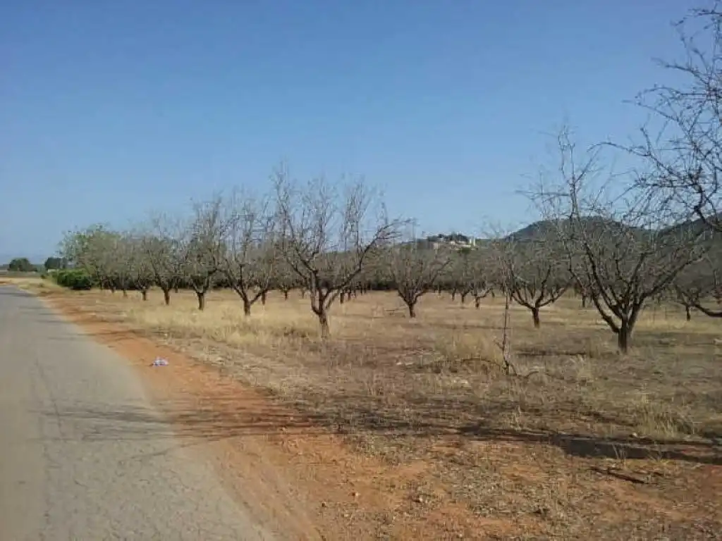 Terrain rustique à vendre à Pt Horquera, imagen 6