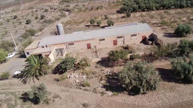 Terreno en Venta en Fiñana